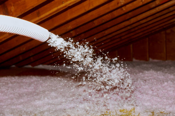 Best Insulation Maintenance and Repair in Kingsbury, NV