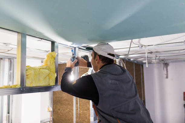 Best Residential Insulation in Kingsbury, NV