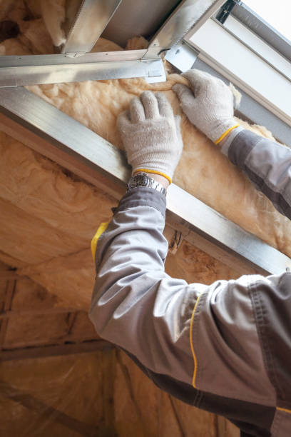 Best Commercial Insulation in Kingsbury, NV
